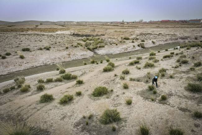 脫貧路上“她”力量丨攢勁
