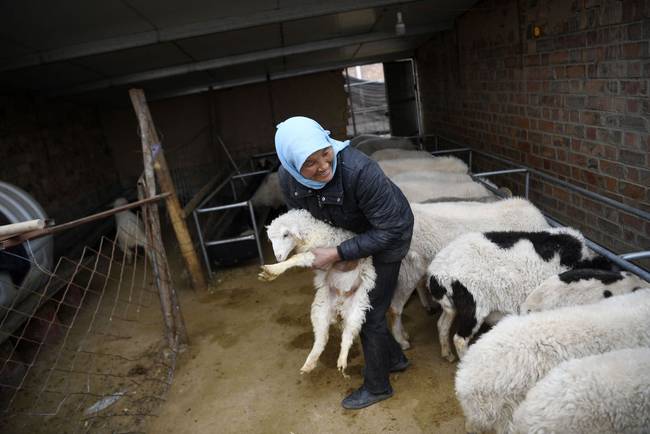 脫貧路上“她”力量丨攢勁