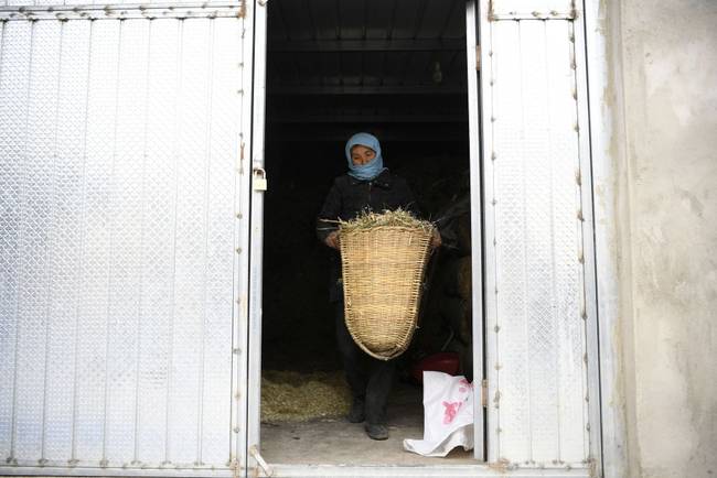 脫貧路上“她”力量丨攢勁