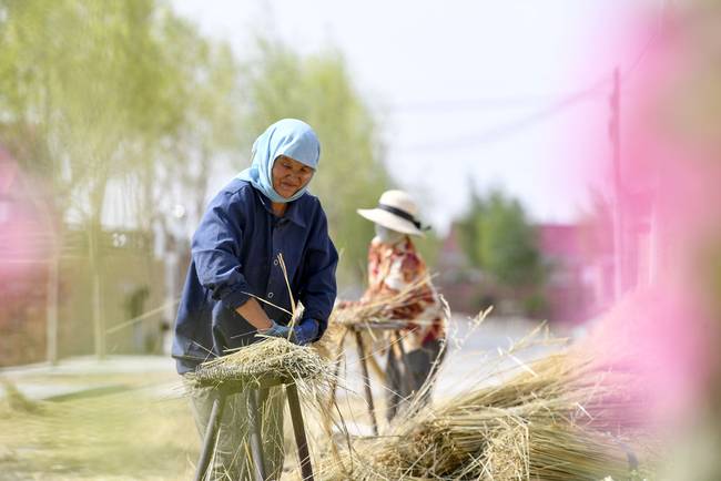 脫貧路上“她”力量丨攢勁
