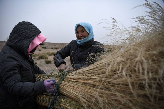 脫貧路上“她”力量丨攢勁