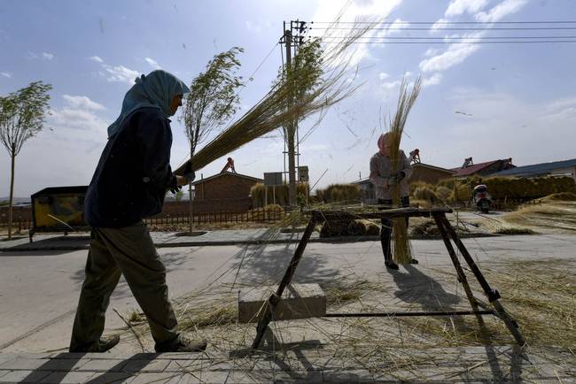 脫貧路上“她”力量丨攢勁