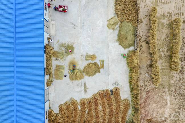 脫貧路上“她”力量丨攢勁