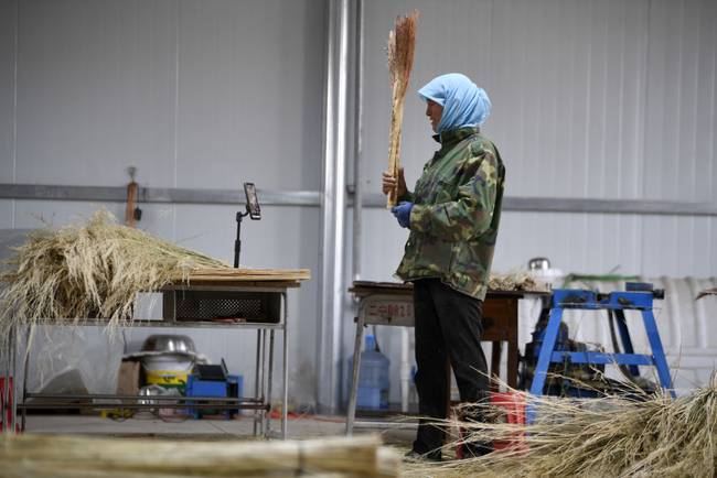 脫貧路上“她”力量丨攢勁