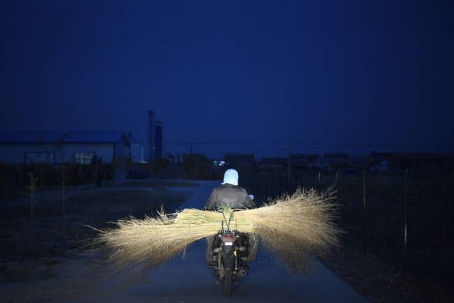 脫貧路上“她”力量丨攢勁