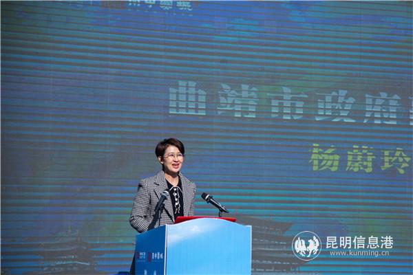 曲靖市人民政府副市長(zhǎng)楊蔚玲致辭