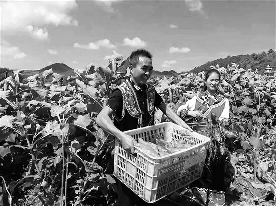 多多農(nóng)園 通訊員 張德華 符杰 攝