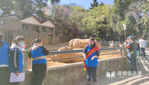 IMG_20201230_144101_副本 IMG_20201230_144101_副本