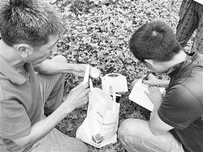 965315_lix_1609230796584_b