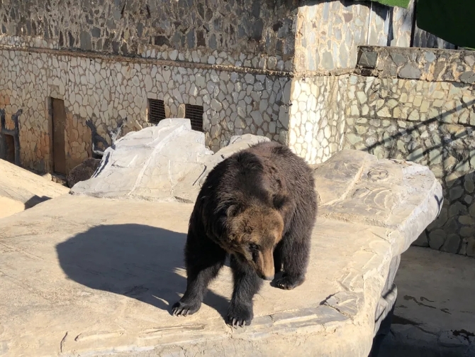 640.webp (2) 640.webp (2)