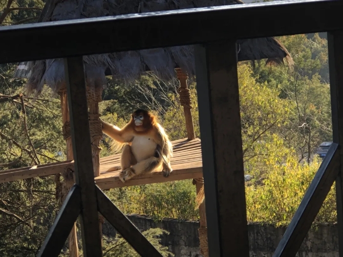 640.webp (3) 640.webp (3)