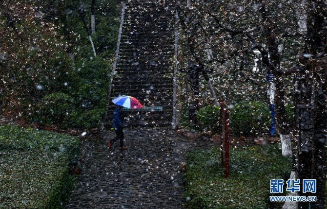 12月29日，在安徽省合肥市，游客冒雪游覽包公園。當(dāng)日，入冬最強(qiáng)寒潮來襲，多地迎來今冬最寒冷天氣。新華社記者 韓旭攝