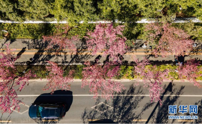 微信截圖_20210104100816