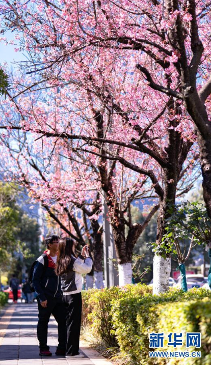 微信截圖_20210104100833