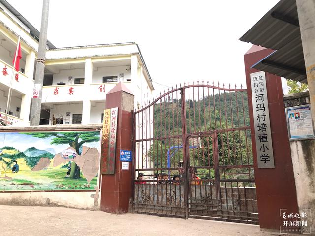 【大山里的老師】她的宿舍門口，總是放著山花野（春城晚報-開屏新聞記者 李春麗 攝影報道）