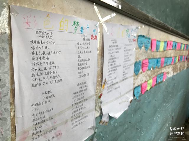 【大山里的老師】她的宿舍門口，總是放著山花野（春城晚報-開屏新聞記者 李春麗 攝影報道）