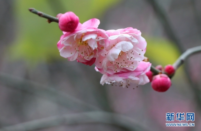 139633612_16094385696391n