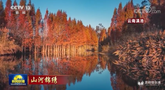 央視報(bào)道截圖 (2) 央視報(bào)道截圖 (2)