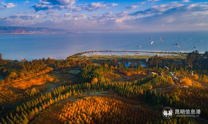風(fēng)光淤泥的南滇池國家濕地公園 風(fēng)光淤泥的南滇池國家濕地公園