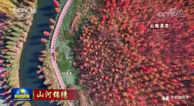 央視報(bào)道截圖 (3) 央視報(bào)道截圖 (3)