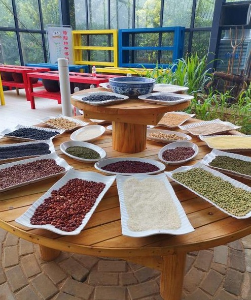 種子博物館內(nèi)部展陳 種子博物館內(nèi)部展陳