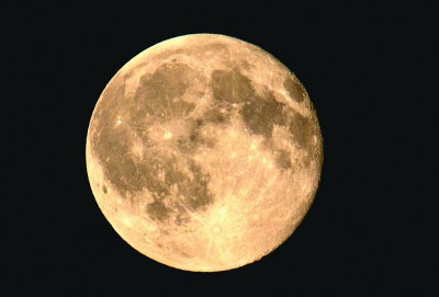 5f24776f3a6c42a9abc7ad06007680dc