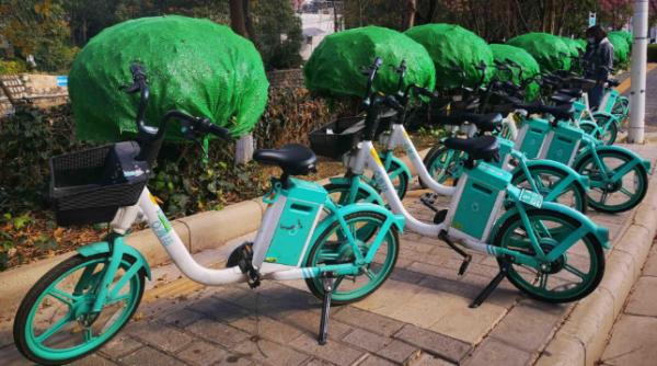 昆明：亂停亂放亂騎共享單車將被禁騎半年