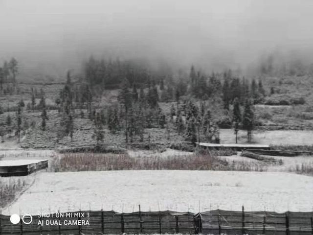美了美了！2021年的第一場雪，驚艷了文山2.jpg
