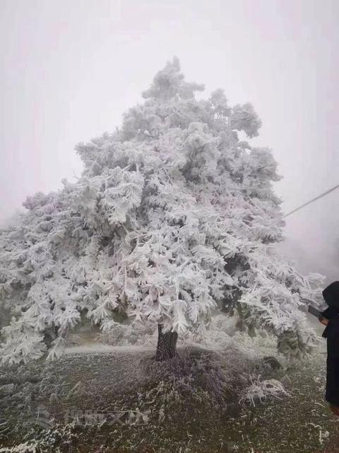美了美了！2021年的第一場雪，驚艷了文山7.jpg