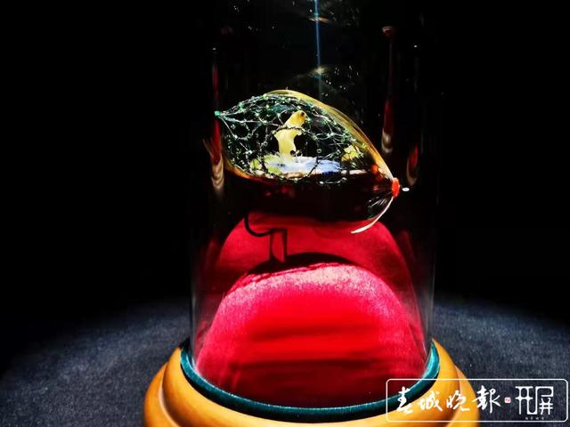 波蘭琥珀（春城晚報-開屏新聞記者 張勇 攝