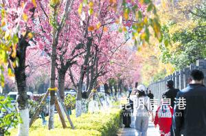 7911610303126652 7911610303126652