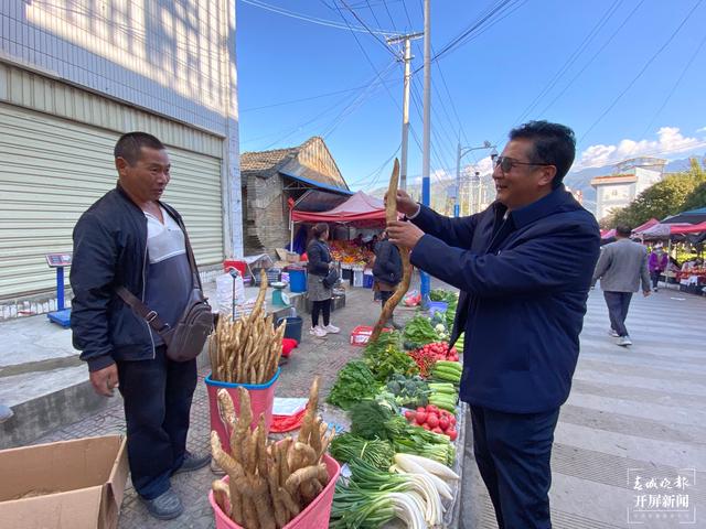 【2020迪慶故事】蔬菜大棚“種”出幸福生活 和繼泉(春城晚報(bào)-開屏新聞?dòng)浾?木曉雯 周柯妤 王宇衡 攝影報(bào)道)6.jpg