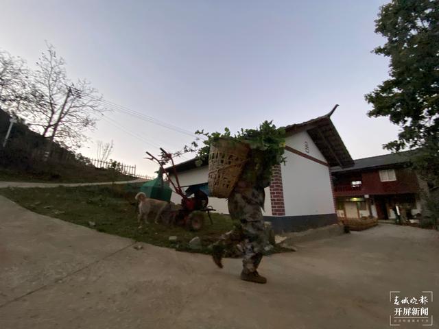 【2020迪慶故事】蔬菜大棚“種”出幸福生活 和繼泉(春城晚報(bào)-開屏新聞?dòng)浾?木曉雯 周柯妤 王宇衡 攝影報(bào)道)5.jpg