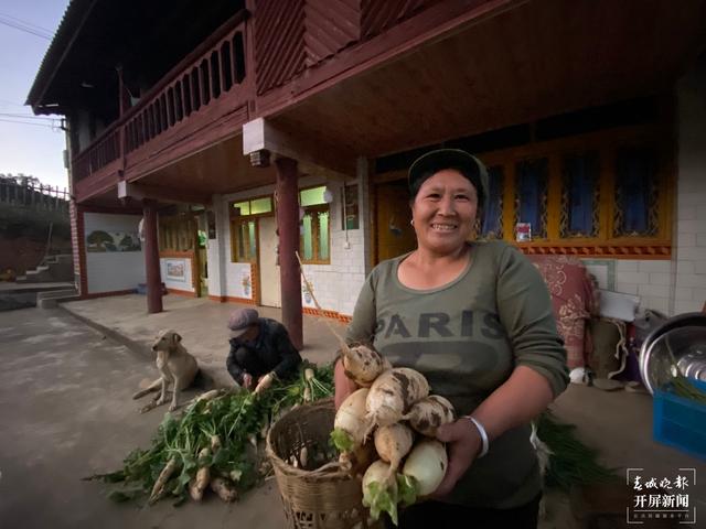 【2020迪慶故事】蔬菜大棚“種”出幸福生活 和繼泉(春城晚報(bào)-開屏新聞?dòng)浾?木曉雯 周柯妤 王宇衡 攝影報(bào)道)2.jpg