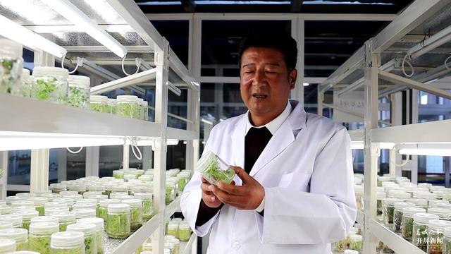 【2020迪慶故事】蔬菜大棚“種”出幸福生活 和繼泉(春城晚報(bào)-開屏新聞?dòng)浾?木曉雯 周柯妤 王宇衡 攝影報(bào)道)8.jpg