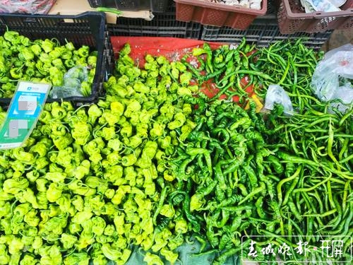 全國多低辣椒價(jià)格上漲1_副本.jpg