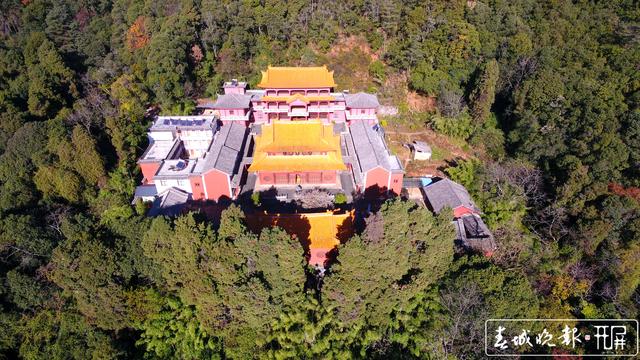 賓川雞足山百年古梅開花了