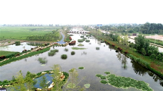 2021011207_res07_attpic_brief