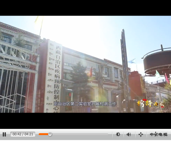 點擊查看視頻 點擊查看視頻