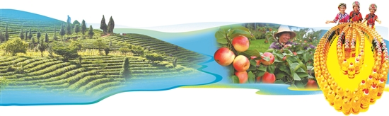 2021011304_res03_attpic_brief 2021011304_res03_attpic_brief