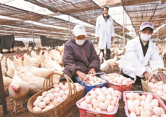 2021011304_res07_attpic_brief 2021011304_res07_attpic_brief