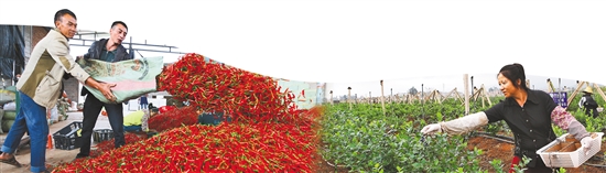 2021011304_res11_attpic_brief 2021011304_res11_attpic_brief