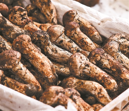 2021011304_res19_attpic_brief 2021011304_res19_attpic_brief