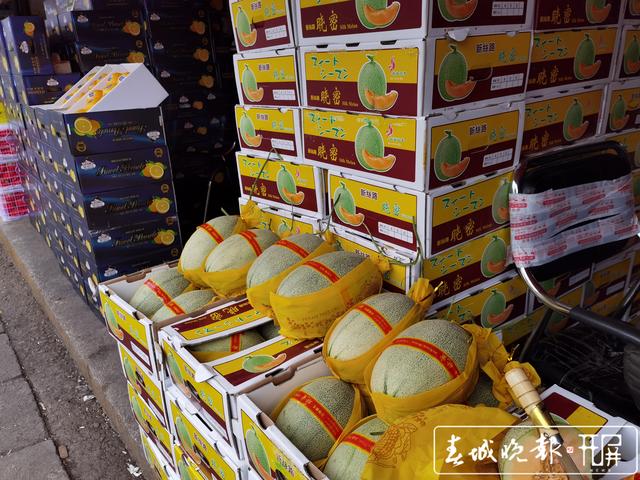 金馬正昌水果批發(fā)市場(chǎng) 哈密瓜.jpg