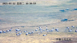 90431610473424613 90431610473424613