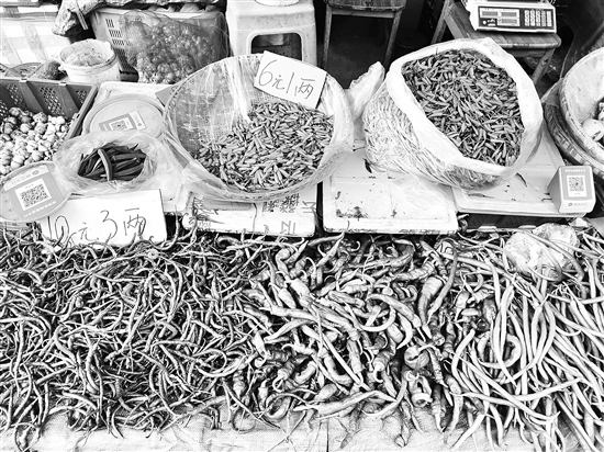 20210113A06_res03_attpic_brief