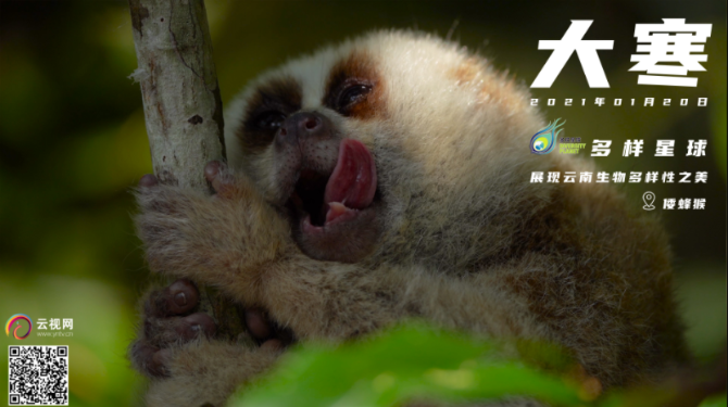 1610679235814694.png image.png