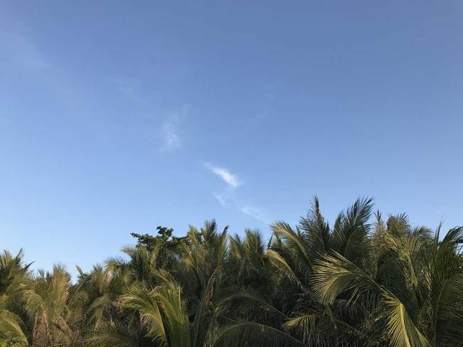 海南:“十三五”時(shí)期生態(tài)文明建設(shè)成效顯著