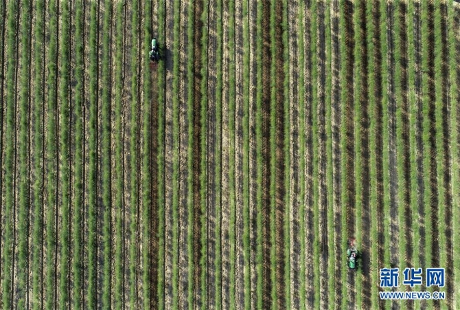 (新華全媒頭條·百萬(wàn)大移民·圖文互動(dòng))(10)從大山深處到大河之畔——寧夏持續(xù)移民百萬(wàn)“拔窮根”啟示