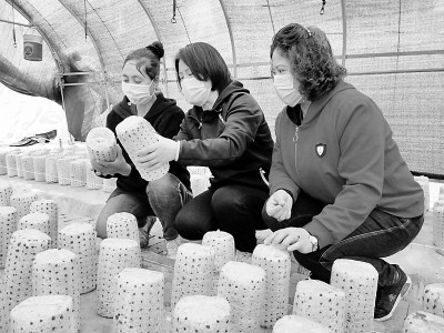 新疆阿克蘇這樣走好鄉(xiāng)村振興路